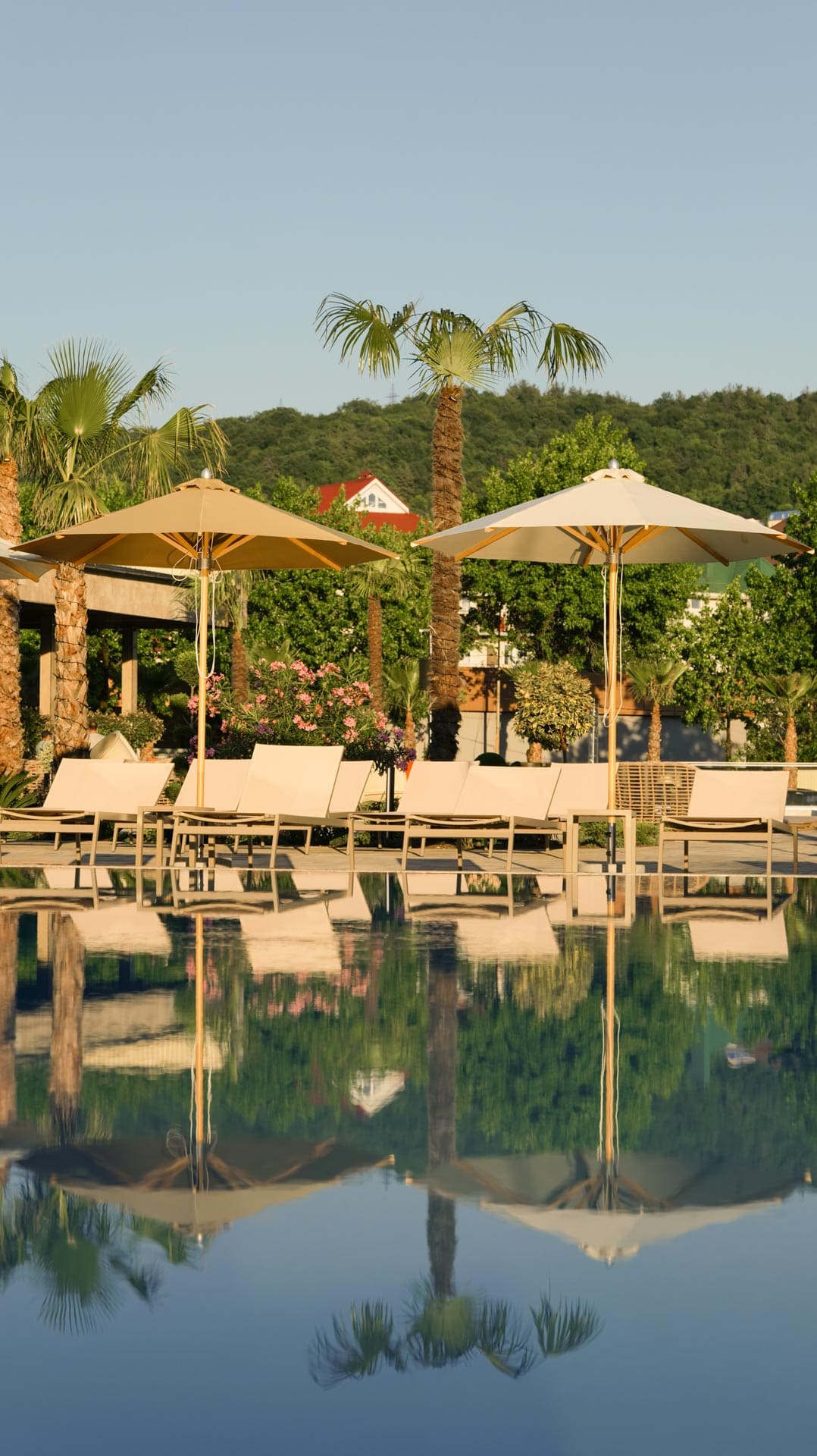 Лежаки у бассейна