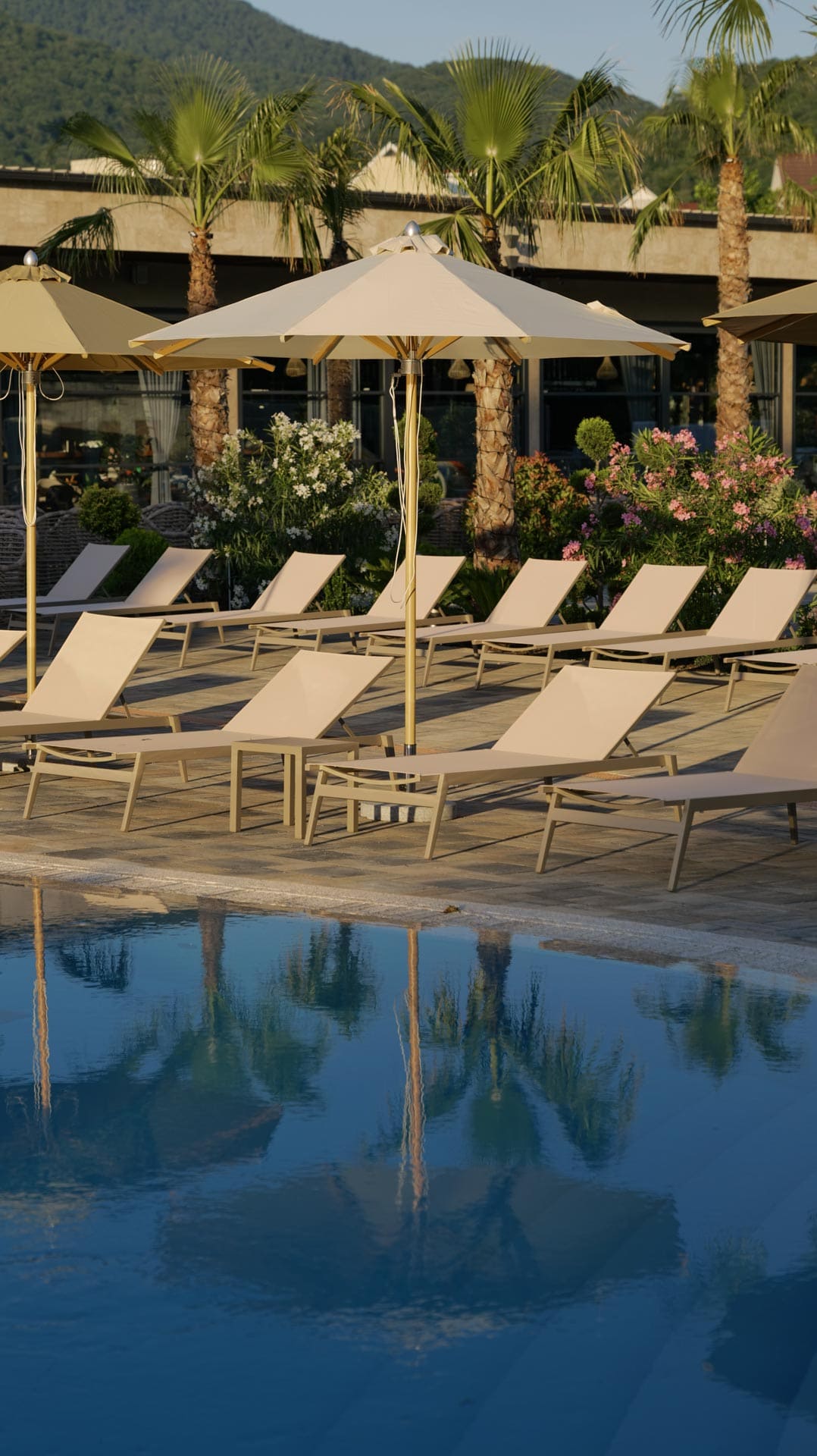 Лежаки и зонты